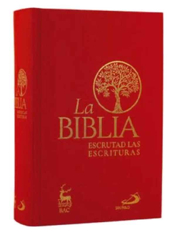 LA BIBLIA. ESCRUTAD LAS ESCRITURAS TELA